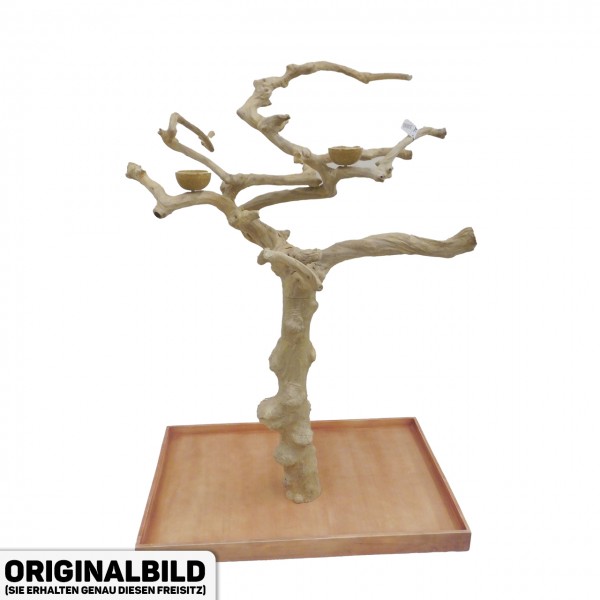 Java Tree Freisitz aus Kaffeeholz - LARGE - AL30888