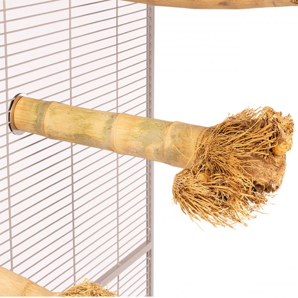 JAVA - Bambussitzstange mit Wurzelkopf  - Mittel | Bamboo Perch Medium | Papageiensitzstange