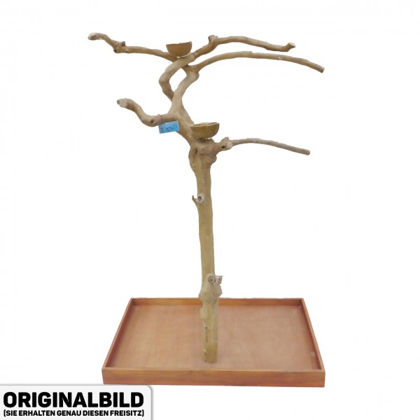 Java Tree Freisitz aus Kaffeeholz - MEDIUM - BM53179