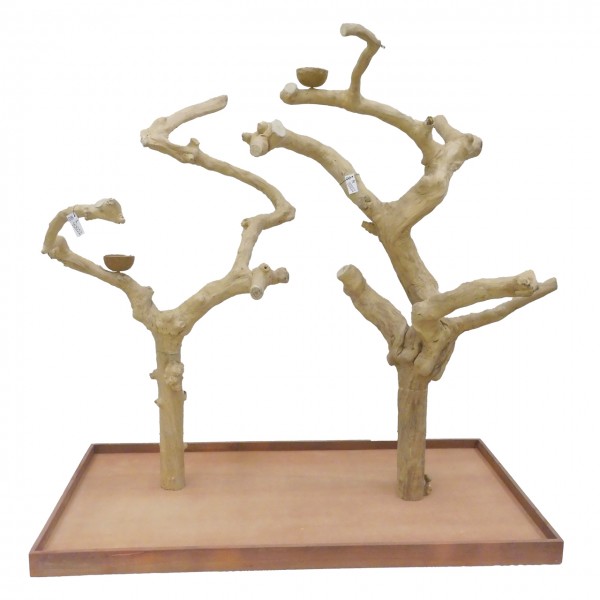 Java Tree Freisitz aus Kaffeeholz - DOUBLE - DB90052