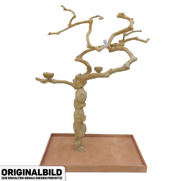 Java Tree XL Freisitz aus Kaffeeholz für Aras, Kakadus & Papageien AM20072