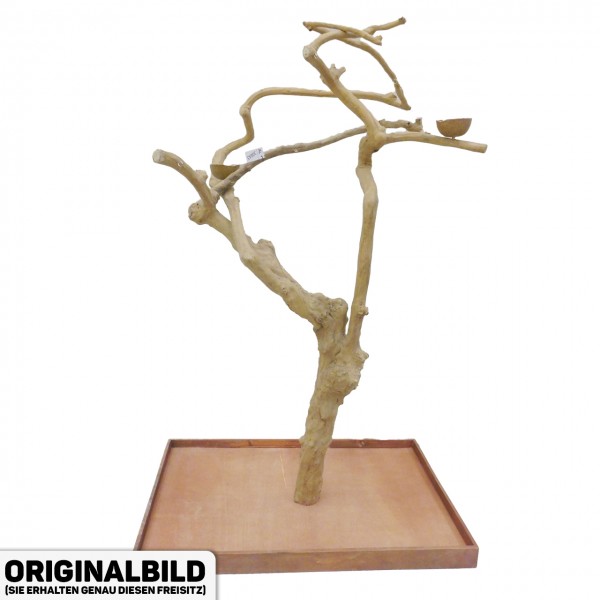 Java Tree Freisitz aus Kaffeeholz - LARGE - AL30843