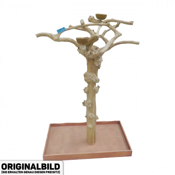 Java Tree Freisitz aus Kaffeeholz - LARGE - BL64073