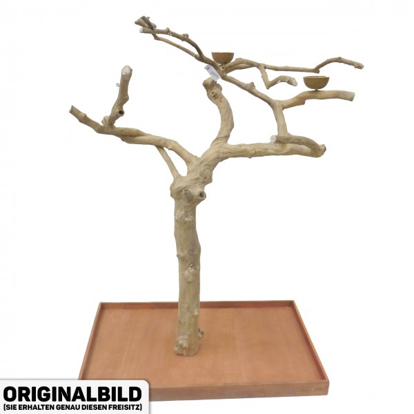 Java Tree XL Freisitz aus Kaffeeholz für Aras, Kakadus & Papageien AM20076