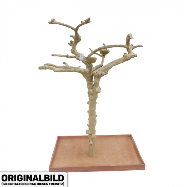 Java Tree XL Freisitz aus Kaffeeholz für Aras, Kakadus & Papageien  AM20099