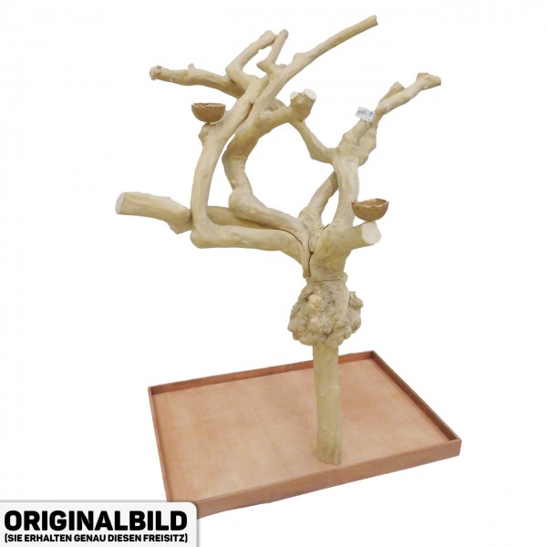 Java Tree Freisitz aus Kaffeeholz - LARGE - AL30844
