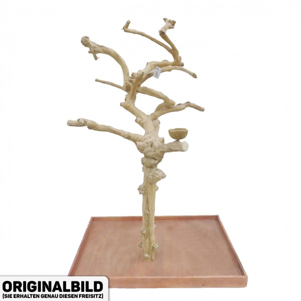 Java Tree XL Freisitz aus Kaffeeholz für Aras, Kakadus & Papageien AL30890