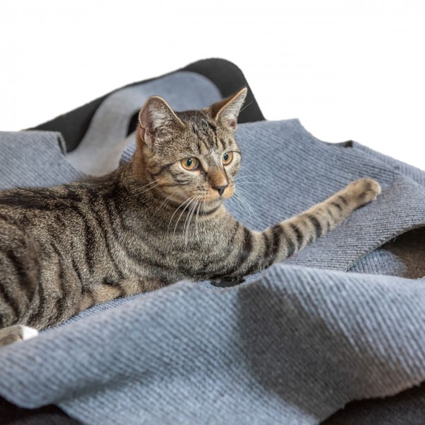 Spielteppich für Katzen - Katzenteppich | grau