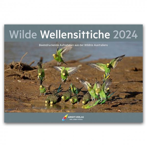 Kalender: Wilde Wellensittiche 2024