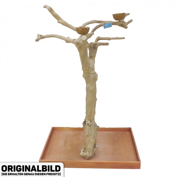 Java Tree Freisitz aus Kaffeeholz - MEDIUM - BM53187