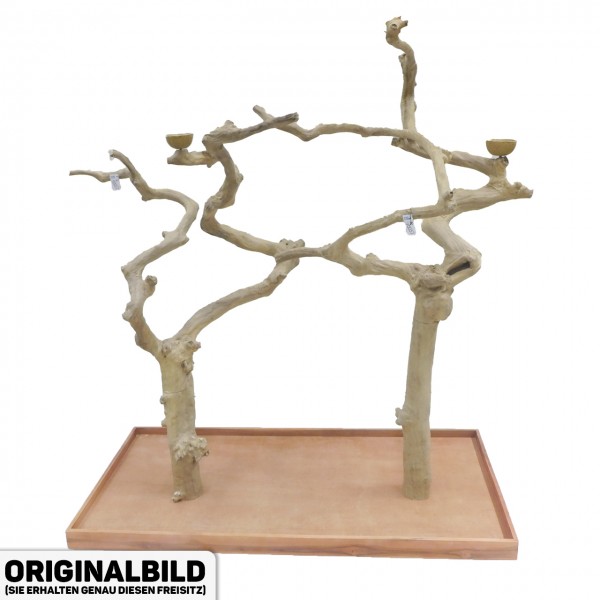 Java Tree Freisitz aus Kaffeeholz - DOUBLE - DB90057