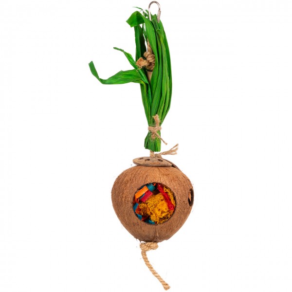 Schredderspielzeug für Sittiche und kleine Papageien "Coconut Foraging Flowerpot"