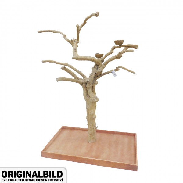 Java Tree Freisitz aus Kaffeeholz - MEDIUM - AM20094