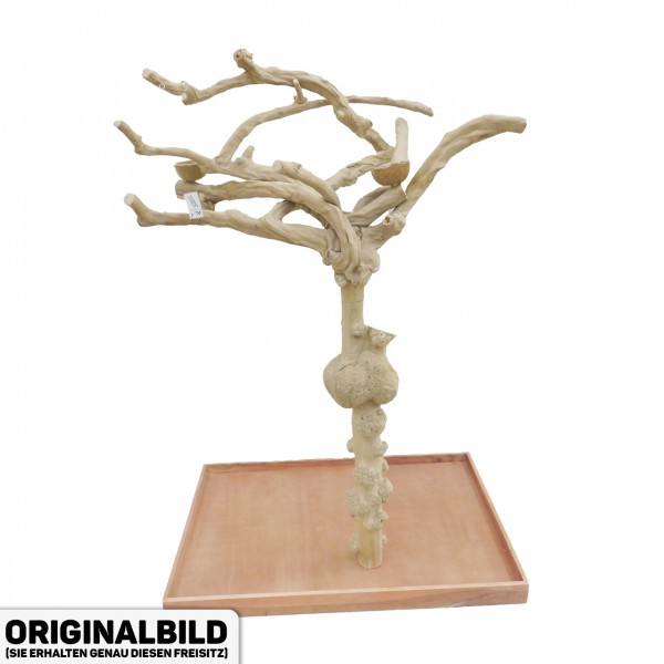 Java Tree XL Freisitz aus Kaffeeholz für Aras, Kakadus & Papageien AL30891