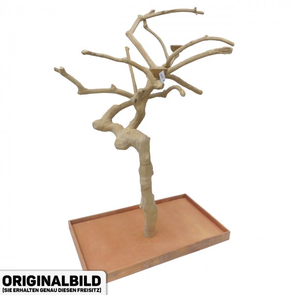 Java Tree XL Freisitz aus Kaffeeholz für Aras, Kakadus & Papageien AM20081
