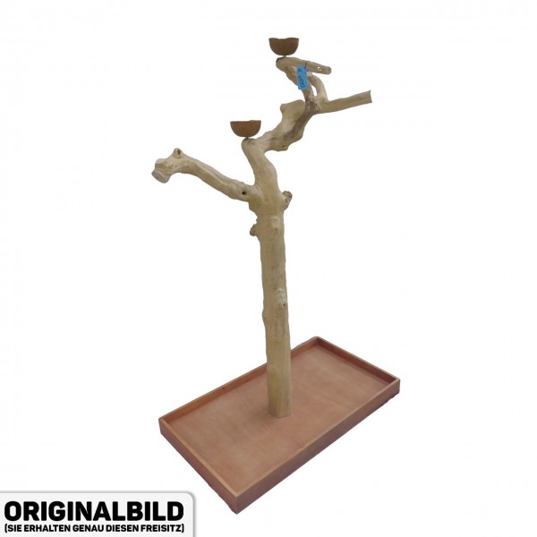 Java Tree Freisitz aus Kaffeeholz - LARGE - BL64061