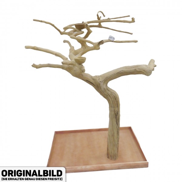 Java Tree Freisitz aus Kaffeeholz - LARGE - AL30899