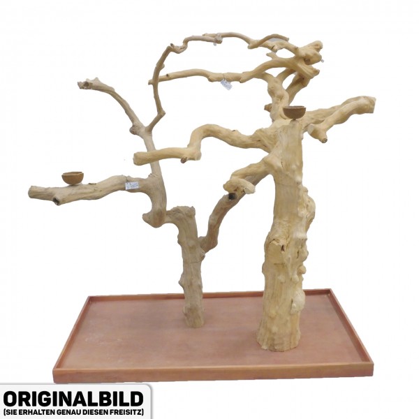 Java Tree Freisitz aus Kaffeeholz - DOUBLE - DB90072