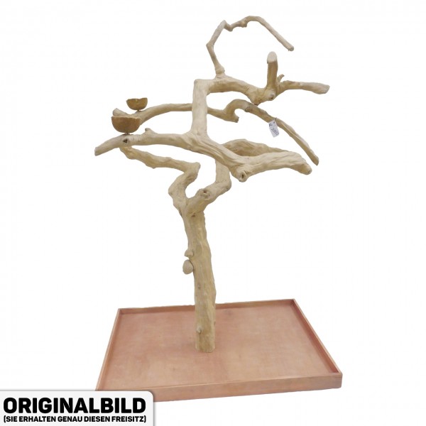 Java Tree XL Freisitz aus Kaffeeholz für Aras, Kakadus & Papageien AL30893