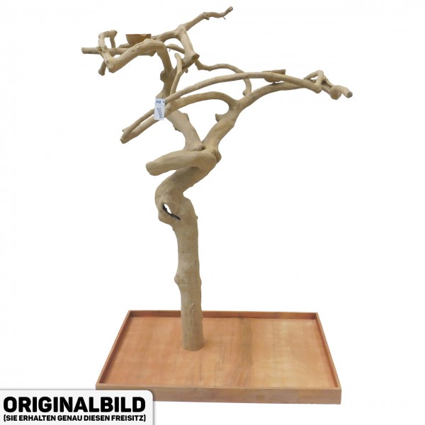 Java Tree XL Freisitz aus Kaffeeholz für Aras, Kakadus & Papageien  AM20084