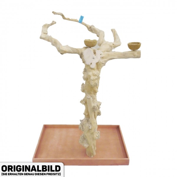 Java Tree Freisitz aus Kaffeeholz - LARGE - BL64057