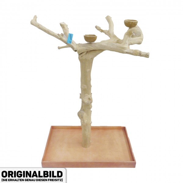 Java Tree Freisitz aus Kaffeeholz - LARGE - BL64058