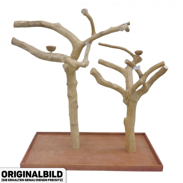 Java Tree Freisitz aus Kaffeeholz - DOUBLE - DB90065