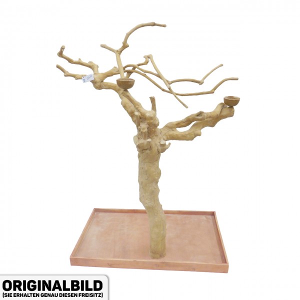 Java Tree Freisitz aus Kaffeeholz - MEDIUM - AM20110