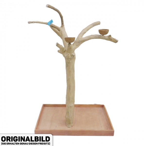 Java Tree Freisitz aus Kaffeeholz - LARGE - BL64062