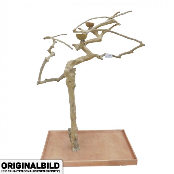 Java Tree XL Freisitz aus Kaffeeholz für Aras, Kakadus & Papageien  AM20106