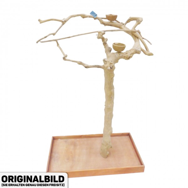 Java Tree Freisitz aus Kaffeeholz - MEDIUM - BM53181