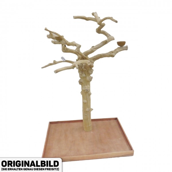 Java Tree Freisitz aus Kaffeeholz - LARGE - AL30902