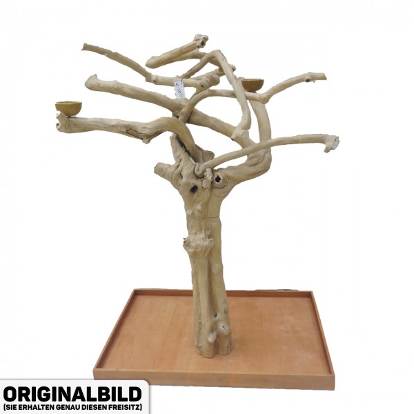 Java Tree XL Freisitz aus Kaffeeholz für Aras, Kakadus & Papageien AL30870